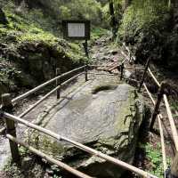 🇯🇵【熊野古道】紀伊路　世界遺産🌎
