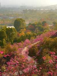 Explore Qinling Mountains