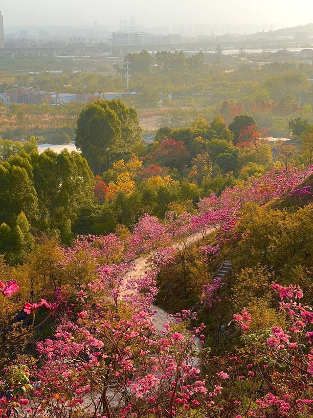 Explore Qinling Mountains
