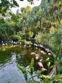 Explore Bird Lake in Kowloon Park