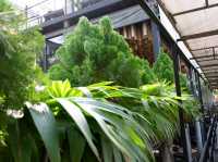 ปั่นจักรยานเที่ยวบางน้ำผึ้ง สัมผัสธรรมชาติใกล้กรุง