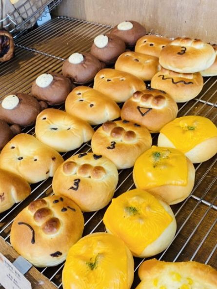 釜山｜田浦洞人氣爆棚麵包店 這顆烏龜太犯規 烏龜🐢太可愛