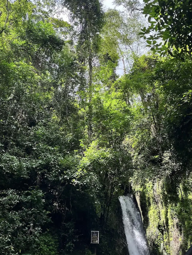 Nature's Tranquility at Bang Pae Waterfall, Phuket