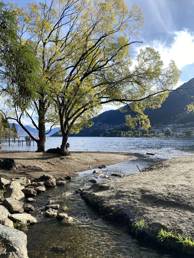 紐西蘭皇后鎮花園～隨便一棵樹都是神木級～從湖邊走一圈真的超美