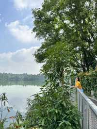 Walking the Mandai Boardwalk