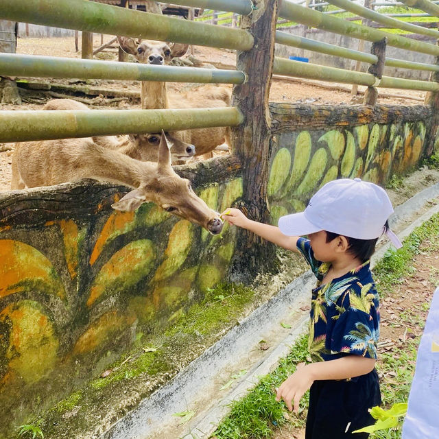 Safari Lagoi Bintan: A Wildlife Sanctuary