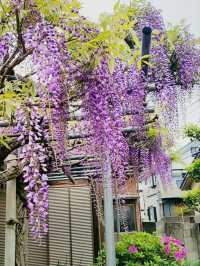 Off the beaten path Tokyo - Taishoji