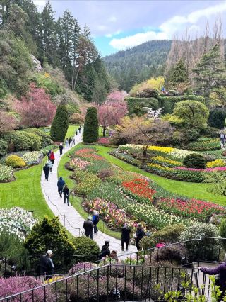 Butchart Gardens