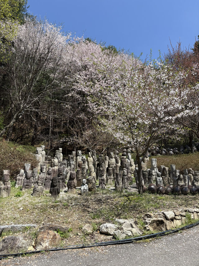수목원프로방스  キャンプ場