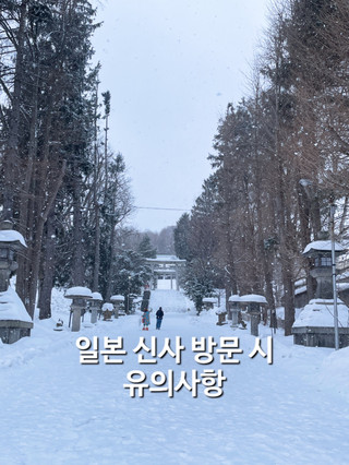 일본에 간다면, 신사 에티켓은 꼭 알아둬!