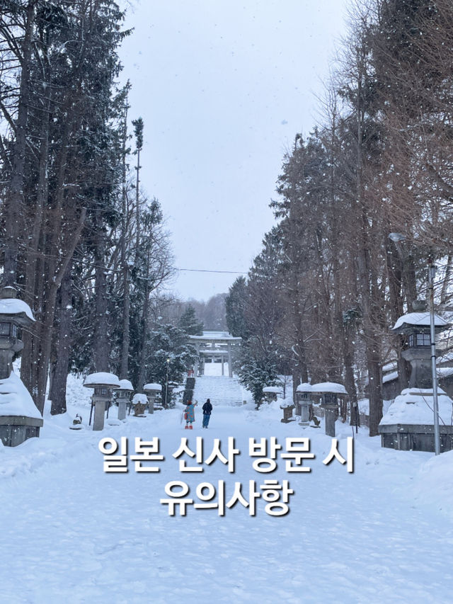 일본에 간다면, 신사 에티켓은 꼭 알아둬!