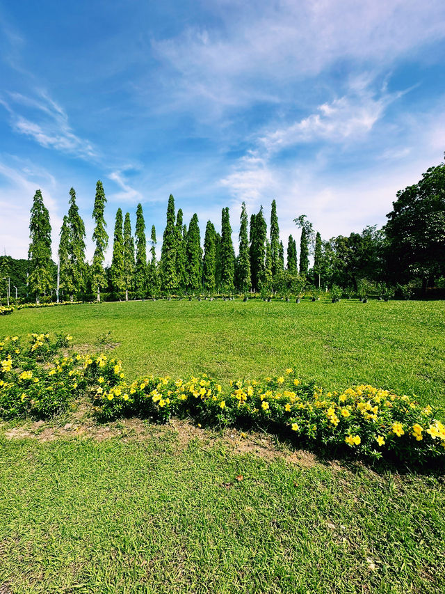 Embrace Nature at Tasik Titiwangsa Park