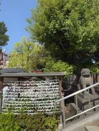 東京｜富岡八幡宮與深川不動堂一日遊
