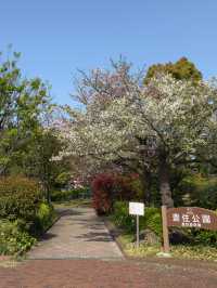 東京｜檜町公園與豐住公園一日遊
