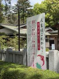 武田神社で見つけた、ちいさな幸運