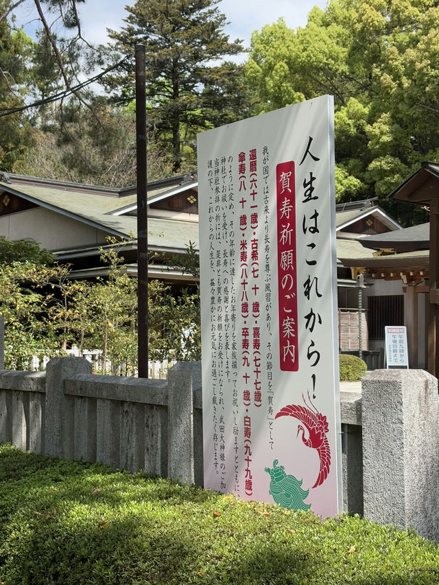 武田神社で見つけた、ちいさな幸運