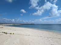 Turtle Islands Park (Sandakan) – Borneo's Turtle Nesting Paradise** 🐢🌴