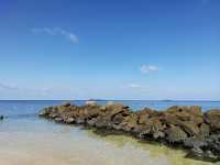 Turtle Islands Park (Sandakan) – Borneo's Turtle Nesting Paradise** 🐢🌴