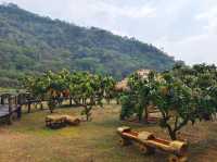BAANKHAOFAE บ้านข้าวเฟ่