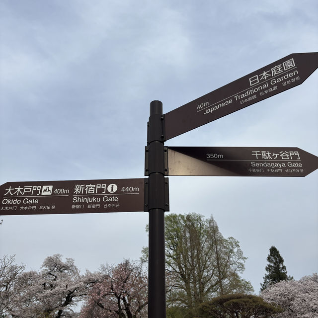 【都会のオアシス】東京 新宿 新宿御苑 季節ごとに異なる鮮やかな景色が楽しめる公園