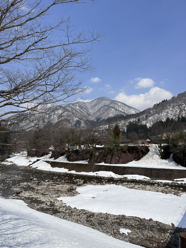 🇯🇵 白川鄉 不是只有小屋 還有壯麗的河川和山🏞️🏔️