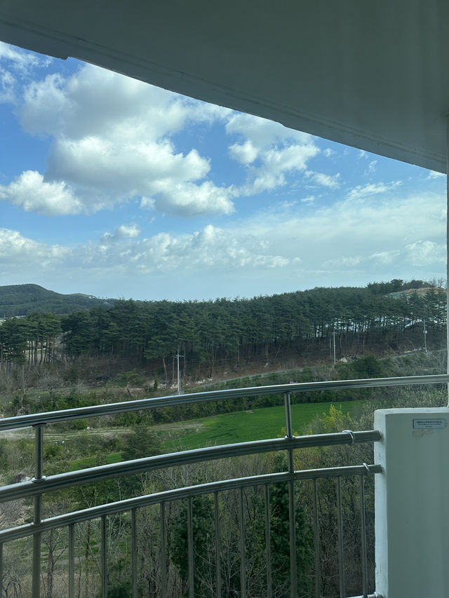 양양에서 즐기는 최고의 휴식 더앤리조트 🏨