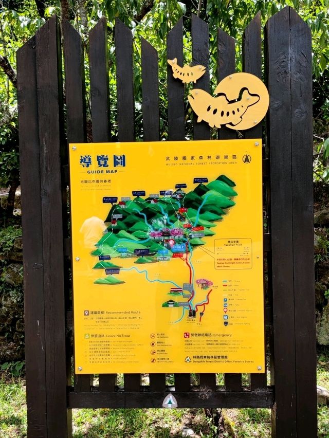 #武陵國家森林遊樂區-臺中區和平區
