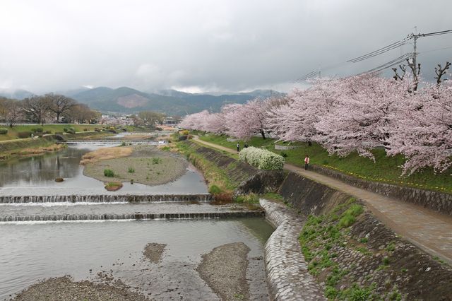 🌊 Chill Vibes & River Feels: A Perfect Day Along Kyoto’s Kamogawa 🌊