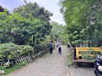 新竹峨眉-十二寮大埤一日遊、湖光山色、輕鬆漫步超療癒！ 