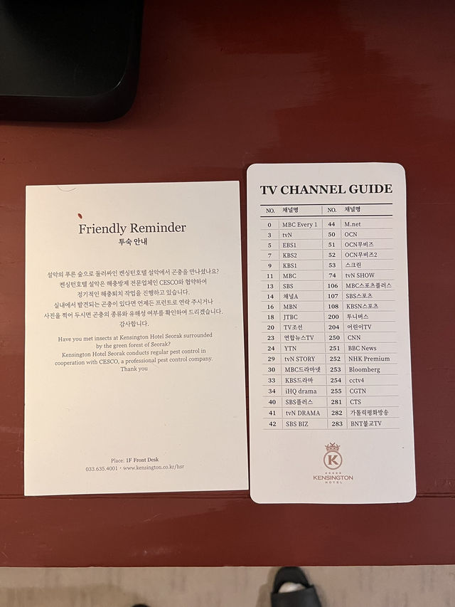 속초에서 최고의 하루를 보내고 싶다면 여기 다녀오세요