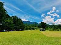 Under the Pines at Sudrigde Resort Davao
