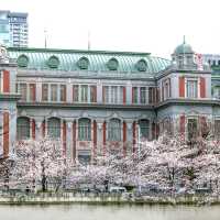 🌸 Osaka City Central Public Hall: Where Sakura Meets Old-World Glam! 🏛️✨