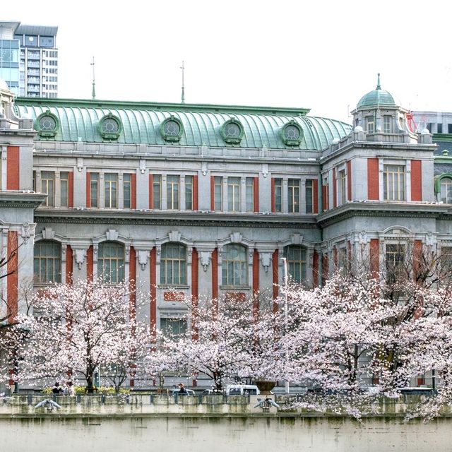 🌸 Osaka City Central Public Hall: Where Sakura Meets Old-World Glam! 🏛️✨
