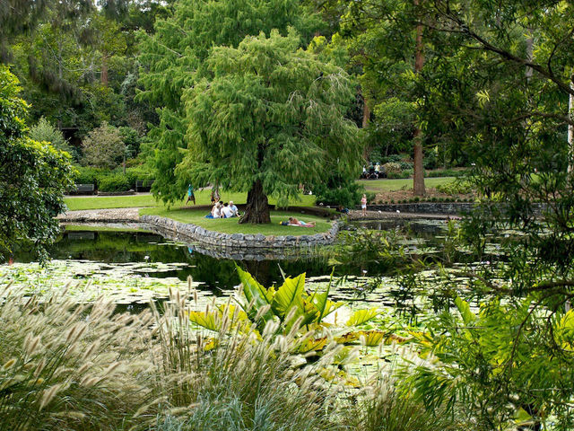 🌿🌸 Brisbane Spring Weekend: River Walks, Blooms & Rooftop Views
