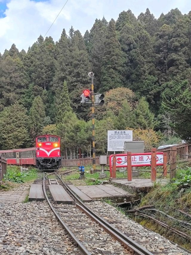 # 阿里山車站-嘉義縣阿里山鄉