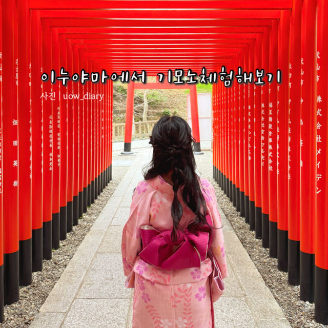 이누야마에서 기모노체험해보기👘