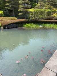 南湖公園の芝生エリアで池を眺めてのんびりタイム】