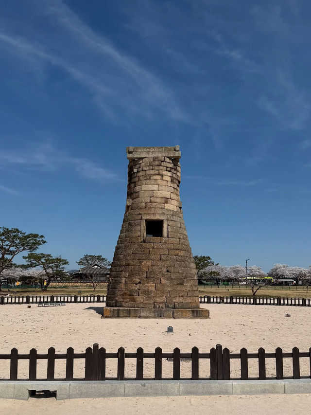 “Blossoms of a Lost Kingdom: Springtime in Gyeongju”
