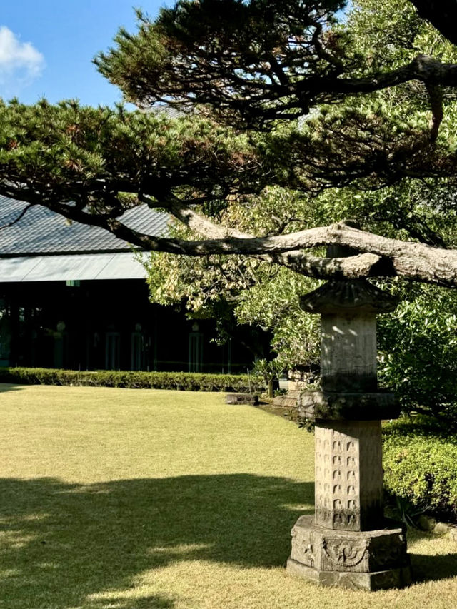 고요한 예술적인 명상을 즐길 수 있는 💚 도쿄 미나코구 미술관 여행가이드