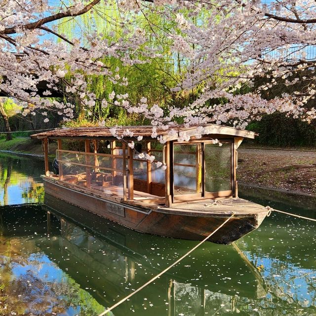 Tranquil Beauty on the Fushimi Jikkokubune Boat, Kyoto