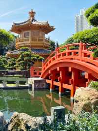 香港｜志蓮淨苑與南蓮園池｜港版小京都