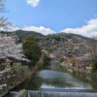 Total Spring Magic