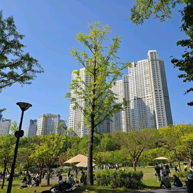 Gwanggyo Lake Park (Suwon)