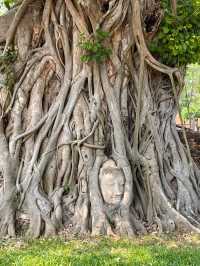 ใส่ชุดไทยเที่ยววัดอยุธยา ได้บุญได้รูปสวย