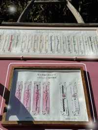 【東京】ここ行ったらやるべき3つのこと🌸桜の神結びで運気アップ
