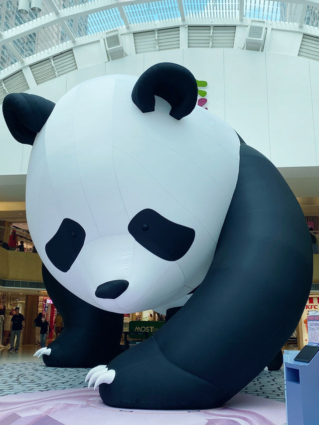 香港｜馬鞍山新港城期間限定巨型熊貓🐼