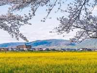 Springtime Chill with a Historic Twist