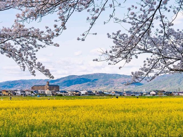 Springtime Chill with a Historic Twist