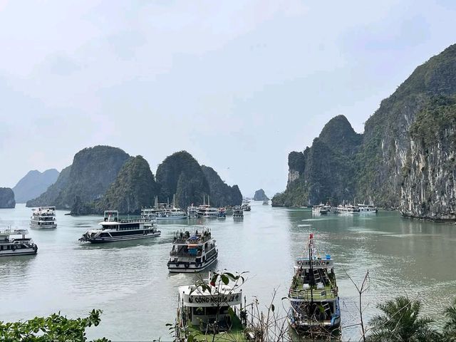 Spring Breezes, Hang Sửng Sốt Is a Whole Vibe
