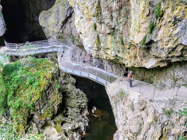 斯洛維尼亞 | 搭小火車輕鬆看鐘乳石洞---波斯托伊納溶洞 Postojna Caves